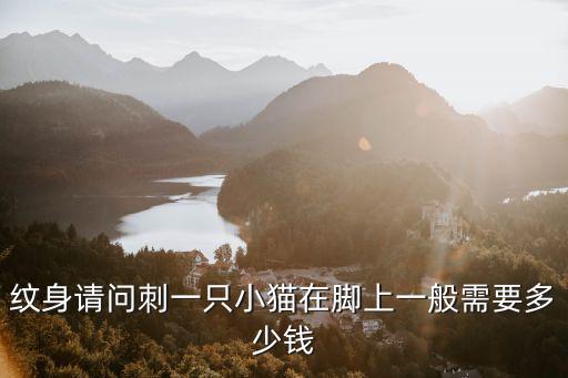 紋身請問刺一只小貓在腳上一般需要多少錢