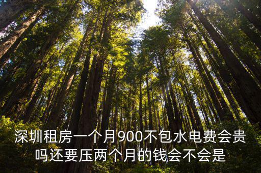深圳2月份免電費嗎，深圳標準電費是多少