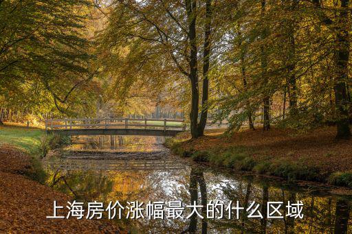 上海房價漲幅最大的什么區(qū)域