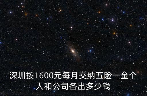 深圳按1600元每月交納五險一金個人和公司各出多少錢