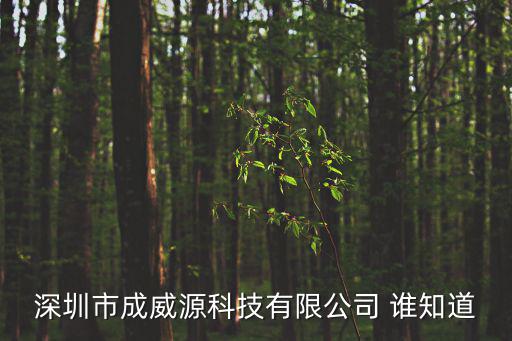 深圳市成威源科技有限公司 誰知道