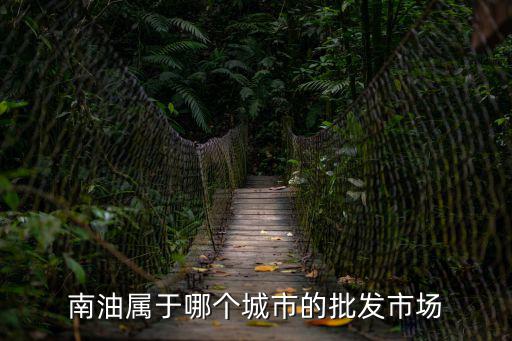 南油屬于哪個城市的批發市場