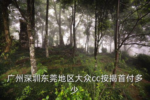 廣州深圳東莞地區(qū)大眾cc按揭首付多少
