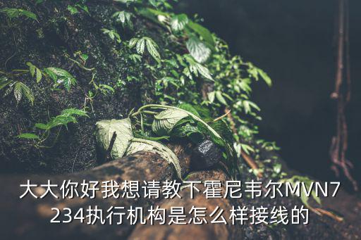 大大你好我想請教下霍尼韋爾MVN7234執行機構是怎么樣接線的