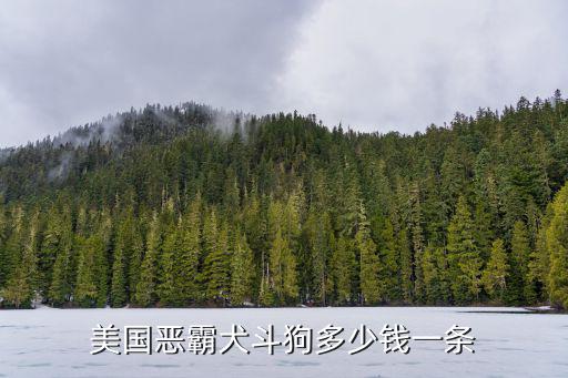 美國惡霸犬斗狗多少錢一條