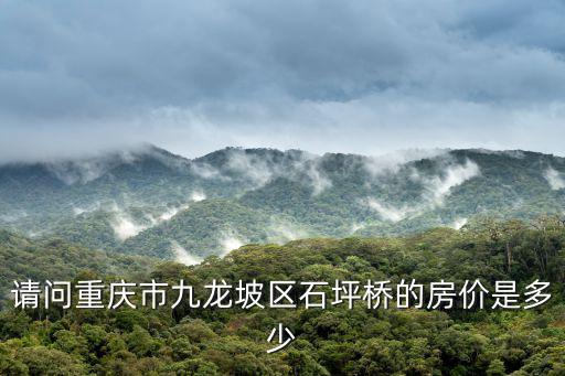 請問重慶市九龍坡區(qū)石坪橋的房價是多少