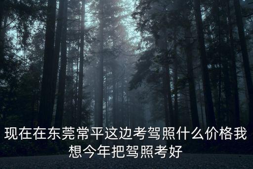 現在在東莞常平這邊考駕照什么價格我想今年把駕照考好