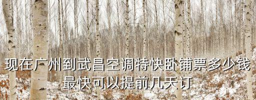 現(xiàn)在廣州到武昌空調(diào)特快臥鋪票多少錢(qián)最快可以提前幾天訂