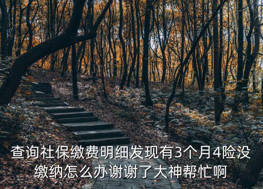 查詢社保繳費明細發現有3個月4險沒繳納怎么辦謝謝了大神幫忙啊
