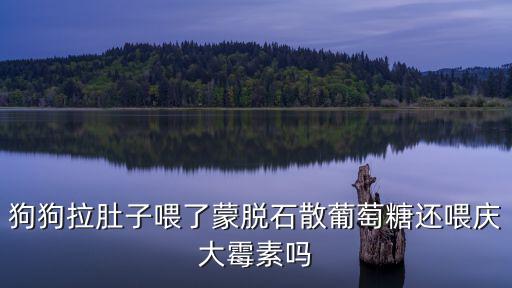 狗狗拉肚子喂了蒙脫石散葡萄糖還喂慶大霉素嗎