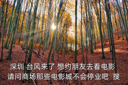 深圳 臺風(fēng)來了 想約朋友去看電影 請問商場那些電影城不會停業(yè)吧  搜