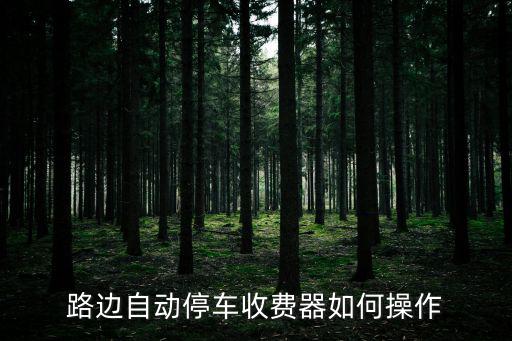 美國停車收費機器怎么操作，路邊自動停車收費器如何操作