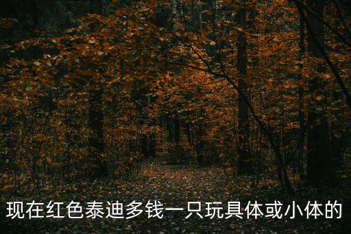 紅色微小泰迪多少錢，現(xiàn)在紅色泰迪多錢一只玩具體或小體的
