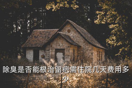 除臭是否能根治留疤需住院幾天費用多少