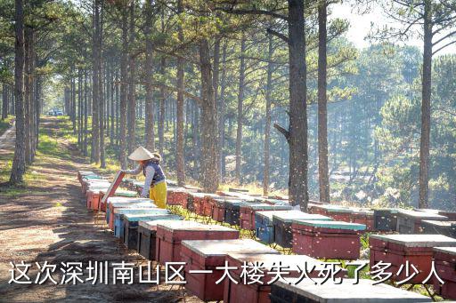 這次深圳南山區(qū)一大樓失火死了多少人