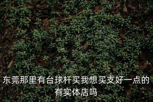 東莞那里有臺(tái)球桿買(mǎi)我想買(mǎi)支好一點(diǎn)的有實(shí)體店嗎