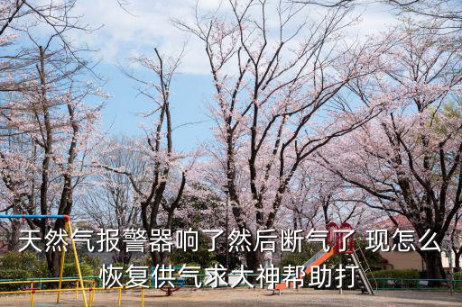 天然氣報(bào)警器響了然后斷氣了 現(xiàn)怎么恢復(fù)供氣求大神幫助打