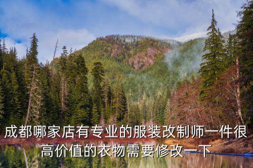 成都市發改智庫專家，成都哪里有專業改奔馳的奔馳C200L想弄一套C63包圍