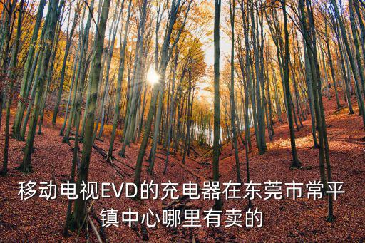 移動電視EVD的充電器在東莞市常平鎮中心哪里有賣的