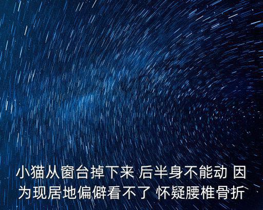 小貓從窗臺掉下來 后半身不能動 因?yàn)楝F(xiàn)居地偏僻看不了 懷疑腰椎骨折