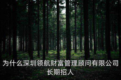為什么深圳領(lǐng)航財(cái)富管理顧問(wèn)有限公司長(zhǎng)期招人