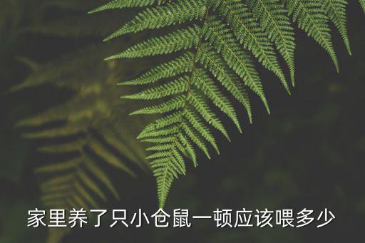 家里養(yǎng)了只小倉鼠一頓應(yīng)該喂多少