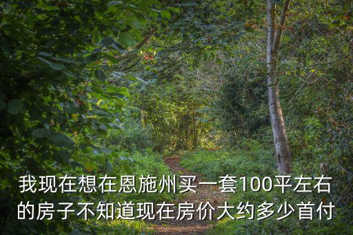 我現在想在恩施州買一套100平左右的房子不知道現在房價大約多少首付