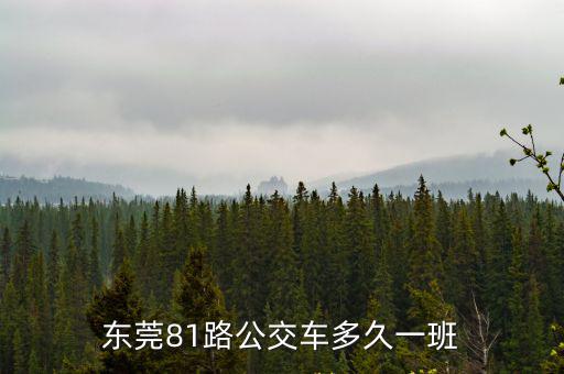 東莞811多長時間一趟，東莞81路公交車多久一班