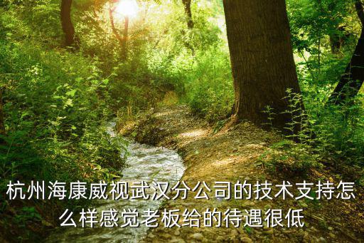 杭州海康威視武漢分公司的技術支持怎么樣感覺老板給的待遇很低