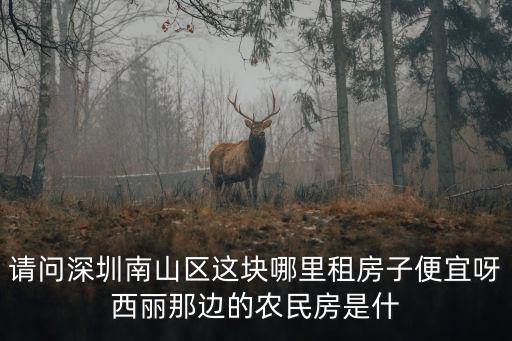 深圳南山區西麗大學城房價，請問深圳南山區這塊哪里租房子便宜呀西麗那邊的農民房是什