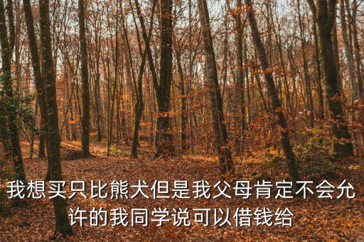 比熊犬3歲的多少錢一只，一只比熊大概要多少錢