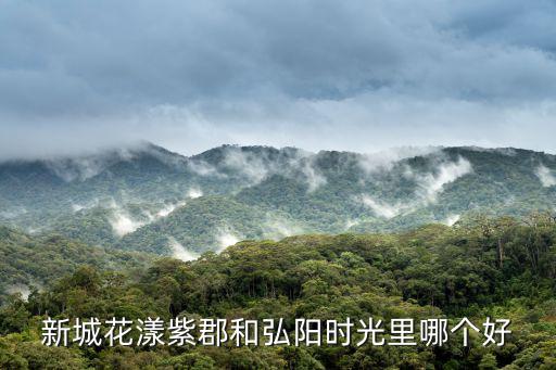 新城花漾紫郡和弘陽時光里哪個好