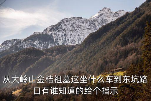 從大嶺山金桔祖墓這坐什么車到東坑路口有誰知道的給個指示