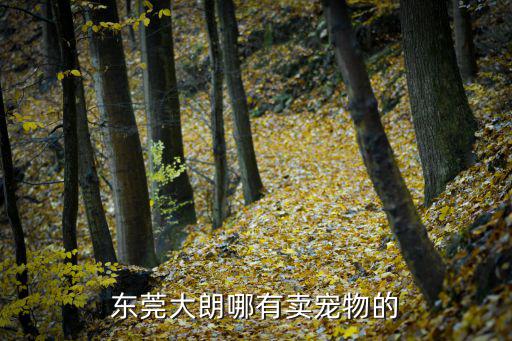東莞大朗哪有賣寵物的