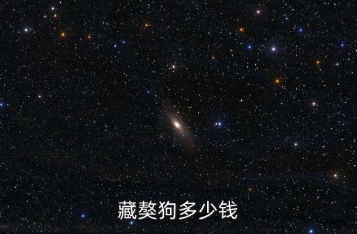 藏獒狗多少錢