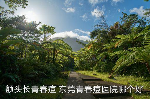 額頭長青春痘 東莞青春痘醫院哪個好