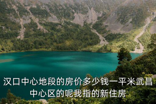 漢口中心地段的房?jī)r(jià)多少錢一平米武昌中心區(qū)的呢我指的新住房