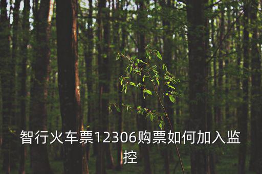 智行火車票12306購票如何加入監控