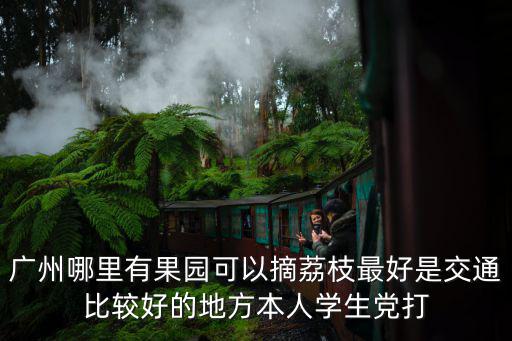 廣州哪里有果園可以摘荔枝最好是交通比較好的地方本人學(xué)生黨打
