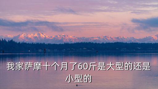 我家薩摩十個月了60斤是大型的還是小型的