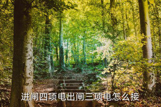 擺閘一進(jìn)一出怎么接線，進(jìn)閘四項(xiàng)電出閘三項(xiàng)電怎么接