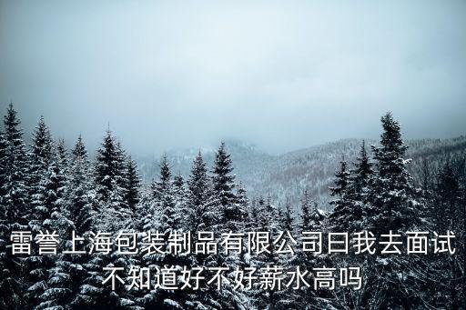 深圳星宇包裝制品 何昌雨，雷譽(yù)上海包裝制品有限公司曰我去面試不知道好不好薪水高嗎