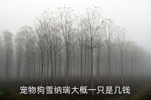 一只雪納瑞多少錢2017，雪納瑞大概多少一只