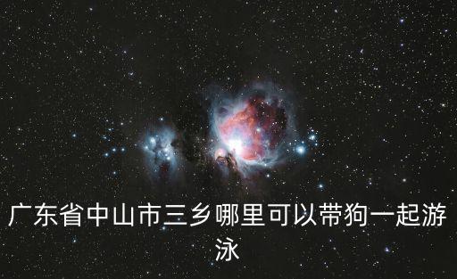 廣州帶狗游泳，廣東省中山市三鄉(xiāng)哪里可以帶狗一起游泳