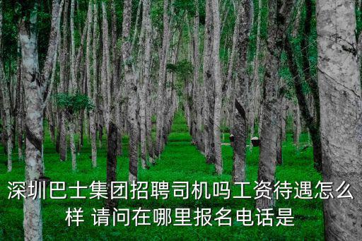 深圳巴士集團(tuán)招聘司機(jī)嗎工資待遇怎么樣 請(qǐng)問在哪里報(bào)名電話是