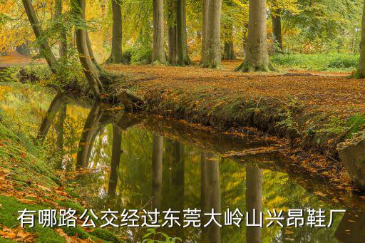 有哪路公交經過東莞大嶺山興昂鞋廠