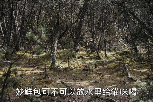 妙鮮包可不可以放水里給貓咪喝