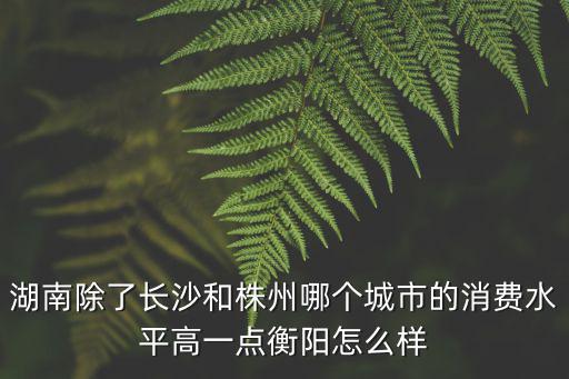 湖南除了長沙和株州哪個城市的消費水平高一點衡陽怎么樣