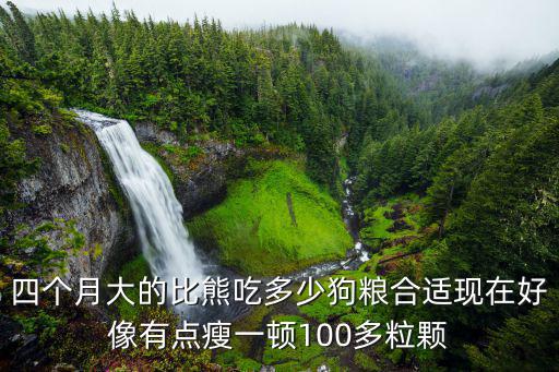 四個月大的比熊吃多少狗糧合適現在好像有點瘦一頓100多粒顆