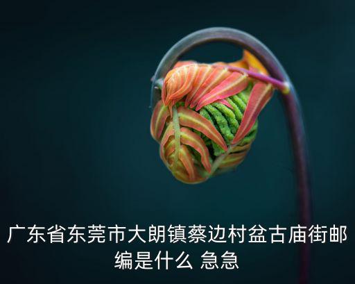 廣東省東莞市大朗鎮(zhèn)蔡邊村盆古廟街郵編是什么 急急